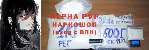 дживик Бородино