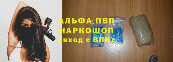гашик Богородск