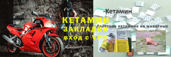 индика Иннополис