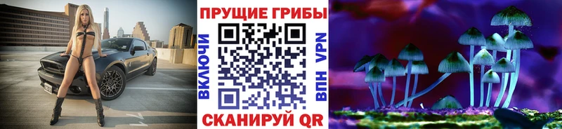 как найти   Катав-Ивановск  Галлюциногенные грибы Cubensis 